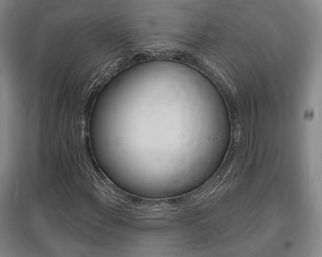 X0000095921108200801110848