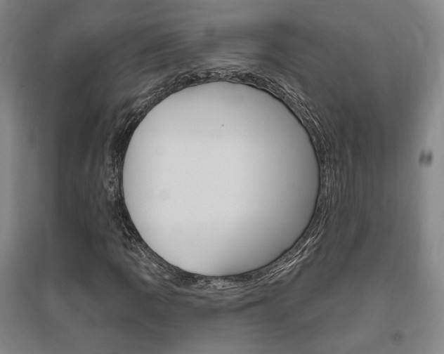 X0000095921109200801110848