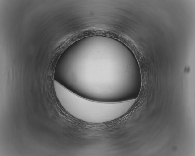 X0000095921110200801110848