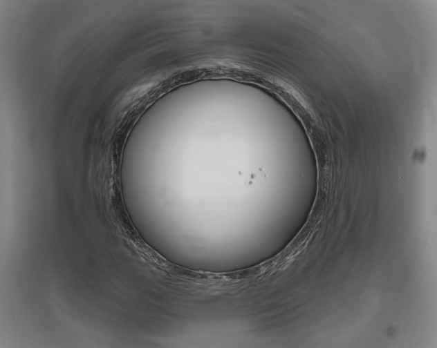 X0000095921111200801110848