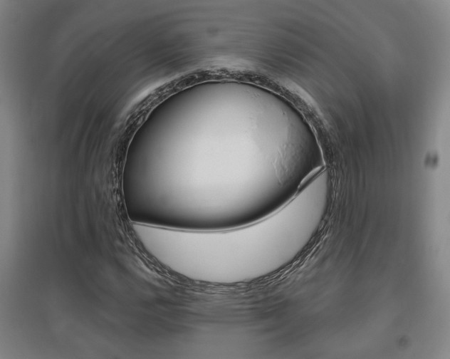 X0000095921112200801110848
