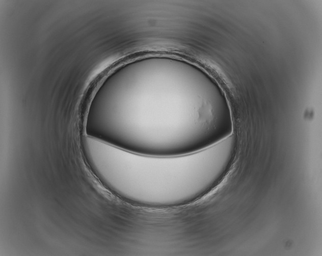 X0000095921114200801110848