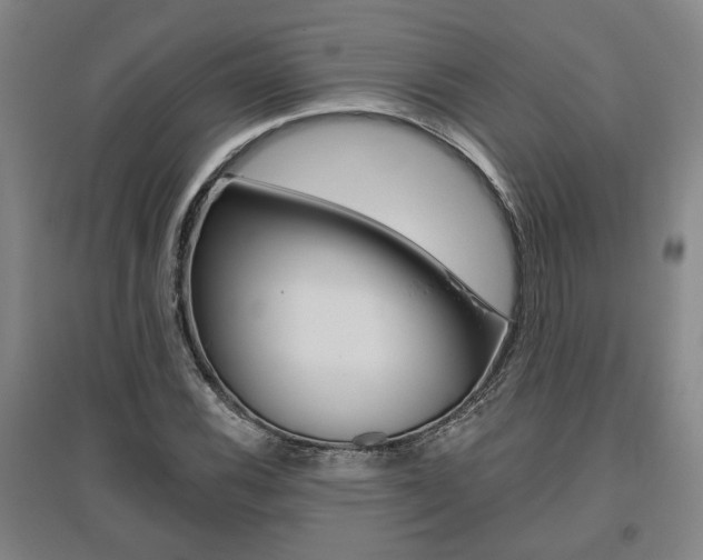 X0000095921116200801110848
