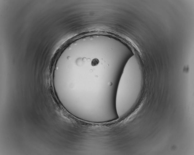 X0000095921117200801110848