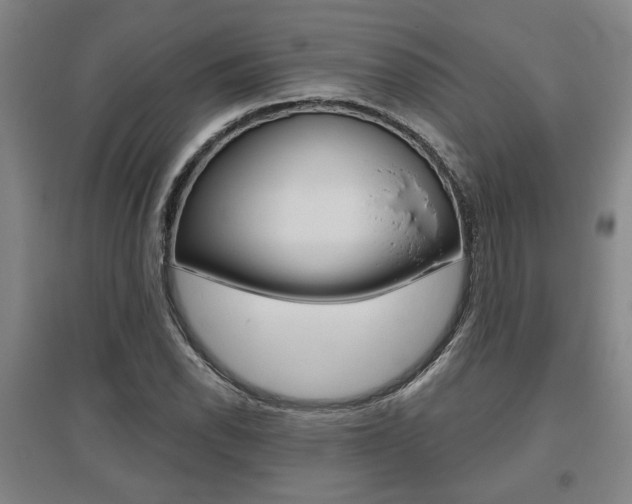 X0000095921118200801110848