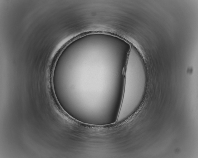 X0000095921120200801110848