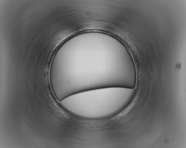 X0000095921121200801110848