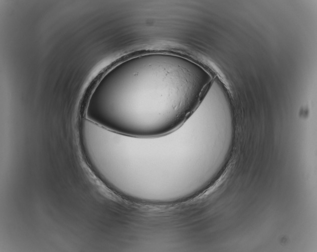 X0000095921122200801110848