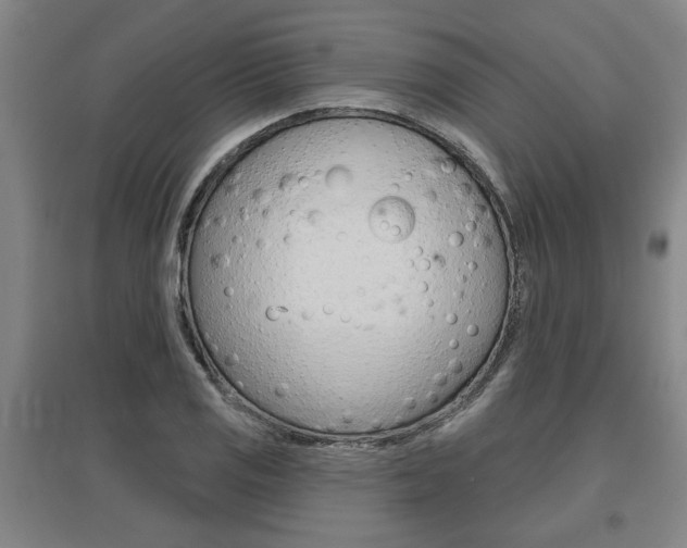X0000095921125200801110848