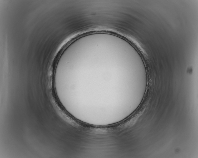X0000095921126200801110848