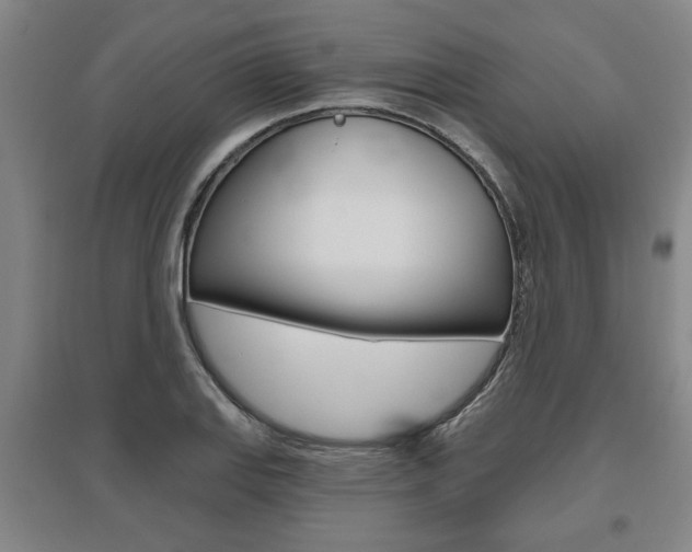 X0000095921127200801110848