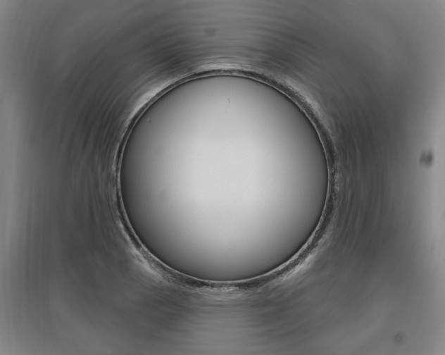 X0000095921129200801110848