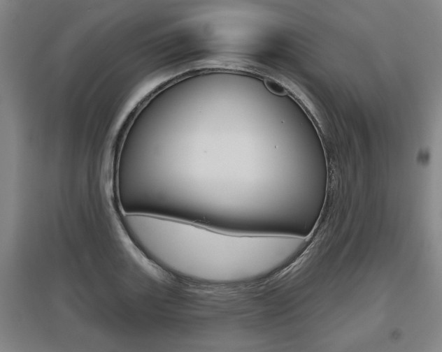 X0000095921131200801110848