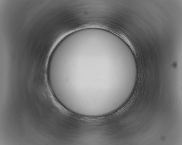 X0000095921132200801110848