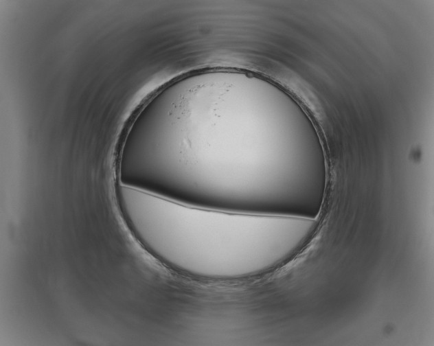 X0000095921133200801110848
