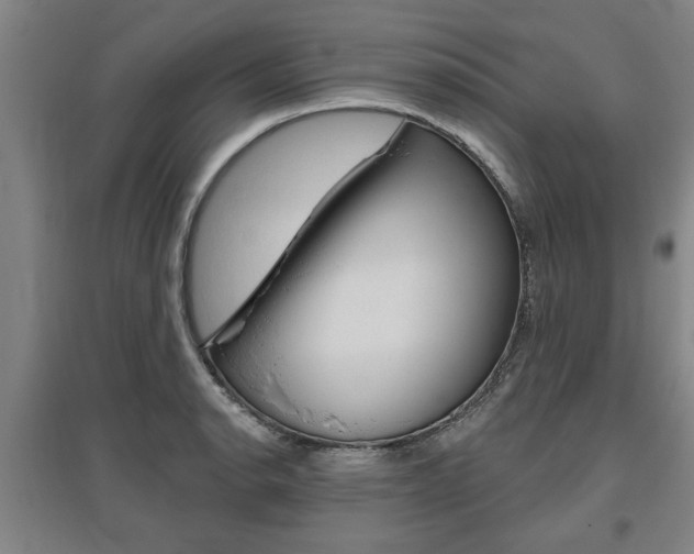 X0000095921134200801110848