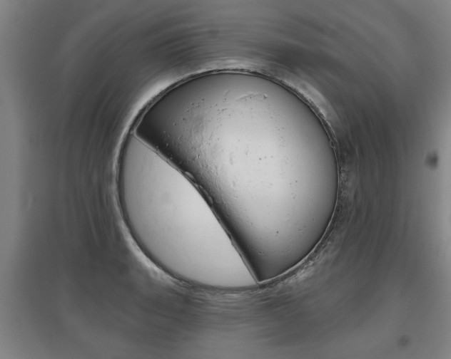 X0000095921135200801110848