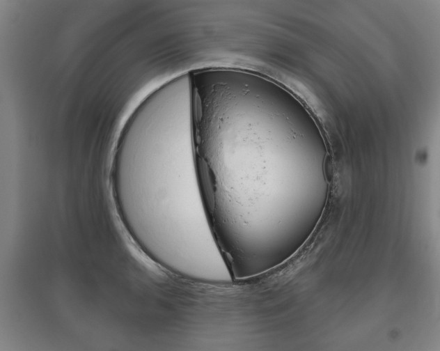 X0000095921136200801110848