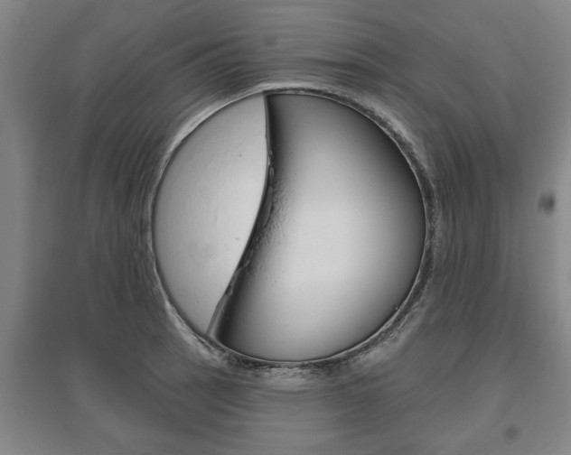 X0000095921137200801110848