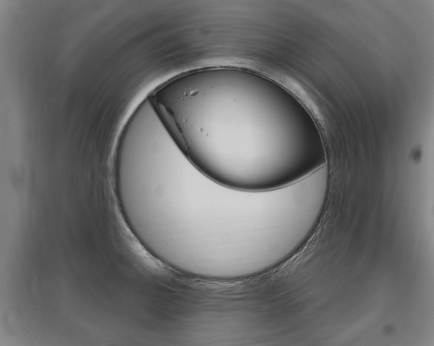 X0000095921140200801110849