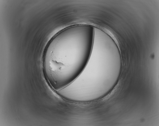 X0000095921141200801110849