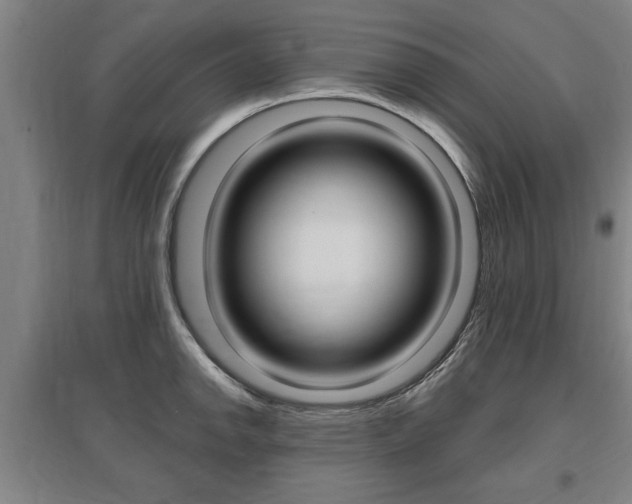 X0000095921142200801110849
