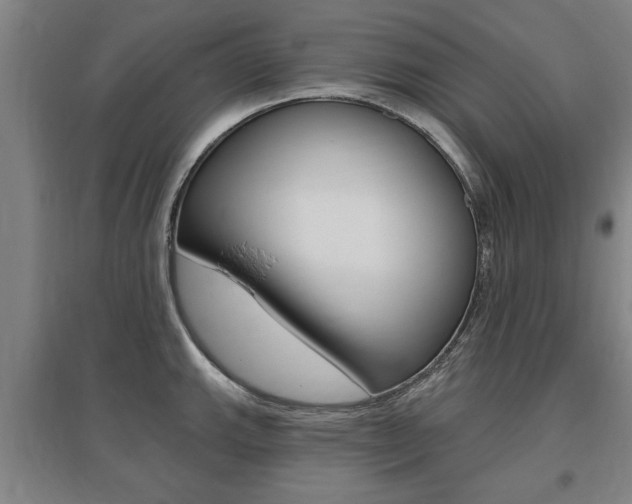 X0000095921143200801110849
