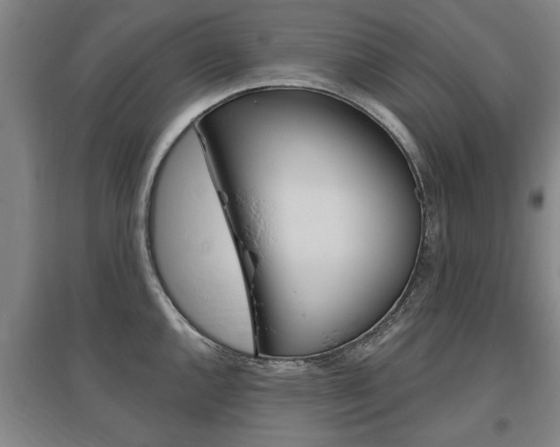 X0000095921144200801110849