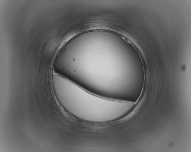 X0000095921145200801110849