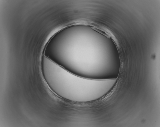 X0000095921146200801110849