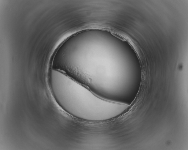 X0000095921147200801110849