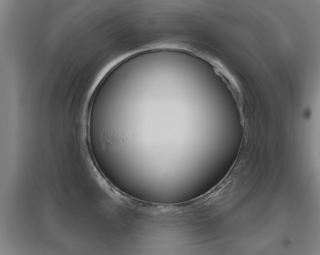 X0000095921148200801110849