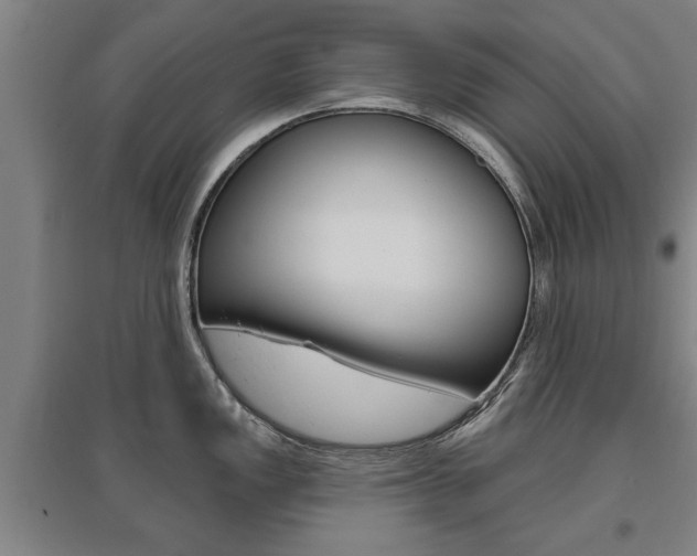 X0000095921149200801110849