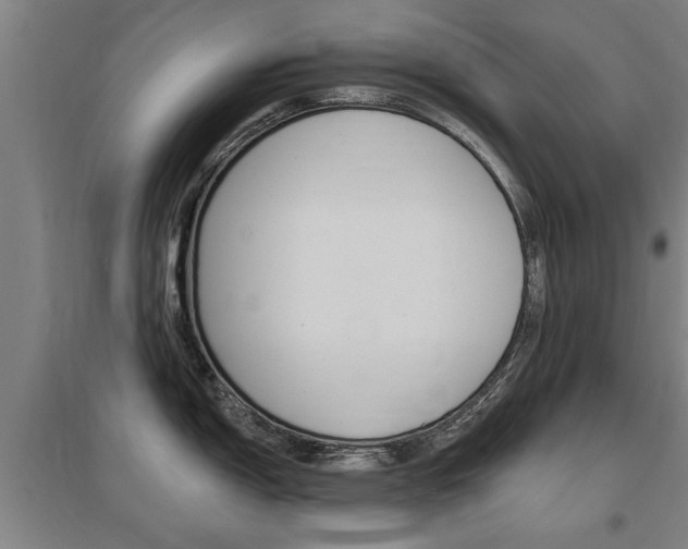 X0000095921150200801110849