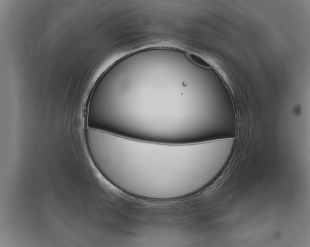 X0000095921151200801110849