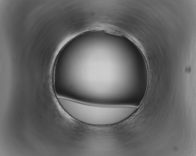 X0000095921152200801110849