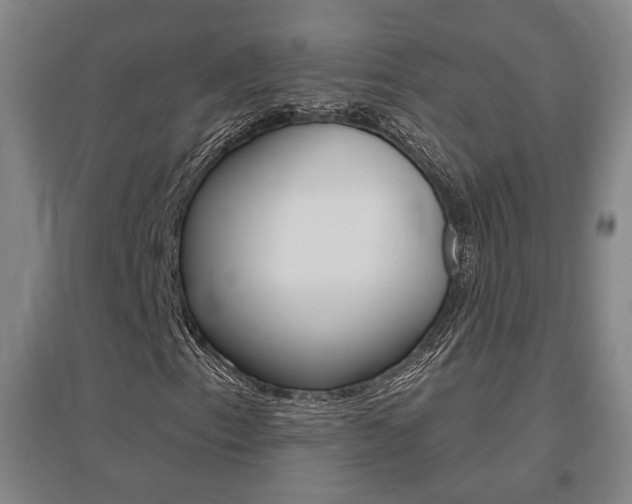 X0000095921153200801110848