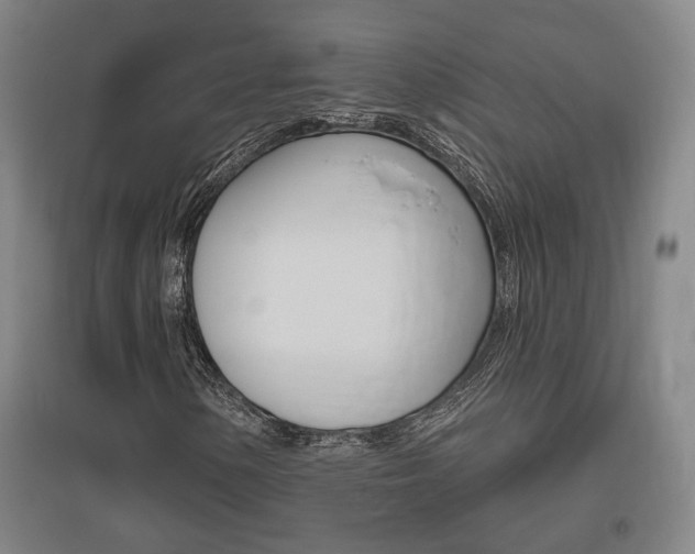 X0000095921154200801110848