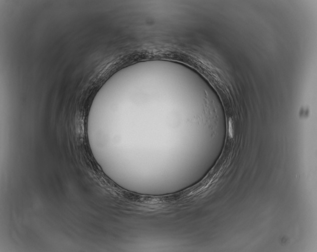 X0000095921155200801110848