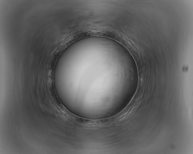 X0000095921156200801110848