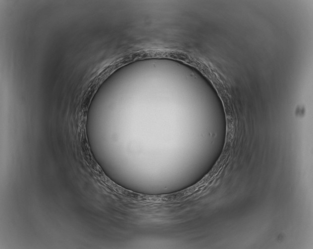 X0000095921157200801110848