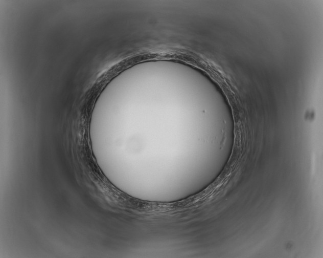 X0000095921158200801110848
