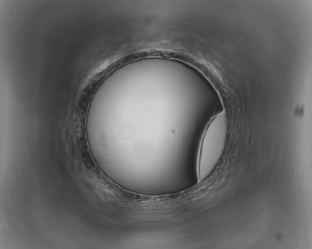 X0000095921159200801110848
