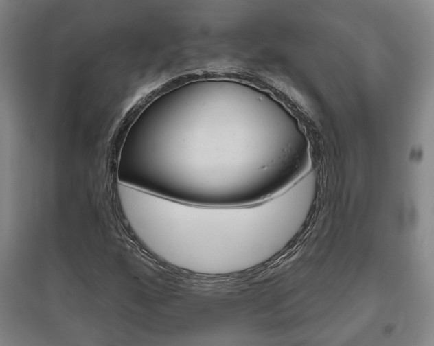 X0000095921160200801110848