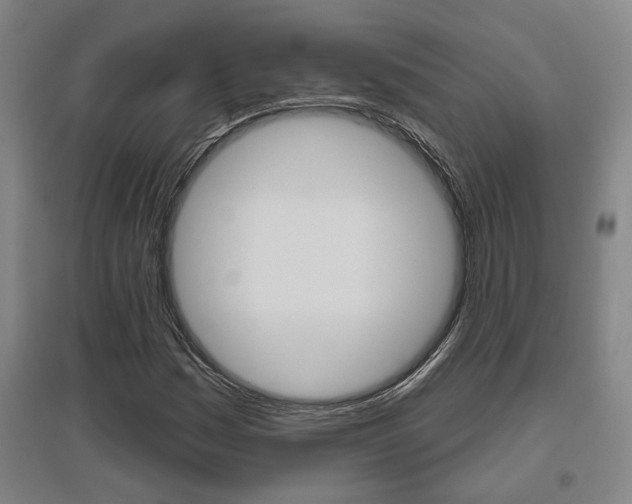 X0000095921161200801110848