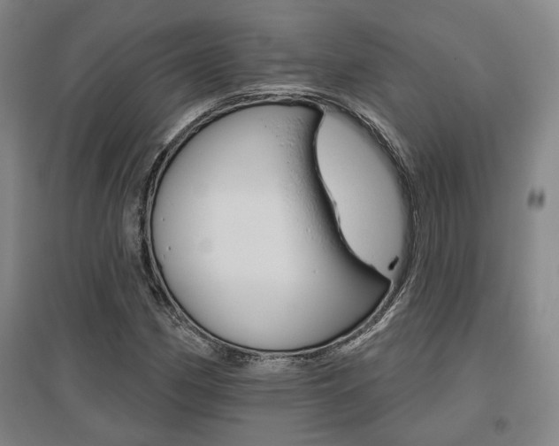 X0000095921162200801110848