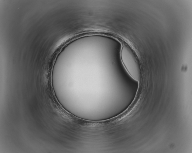 X0000095921163200801110848