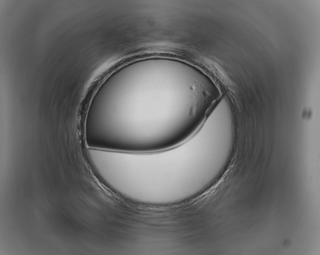 X0000095921164200801110848