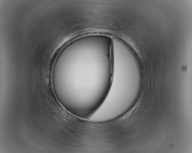 X0000095921165200801110848