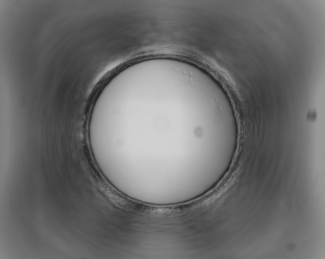 X0000095921166200801110848
